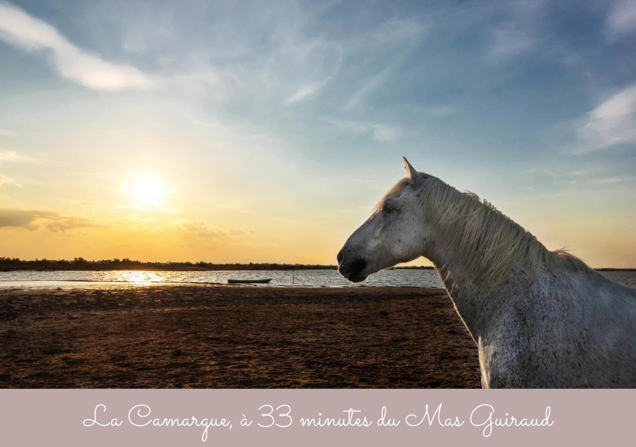 Mas Guiraud, Le Gaspardoux Beaucaire  Exteriér fotografie